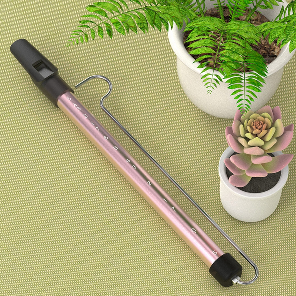 Slide Whistle Musical Instrument Funny Musical Toy Handheld Sliding Flute Children Kazoo Flute for Performances
