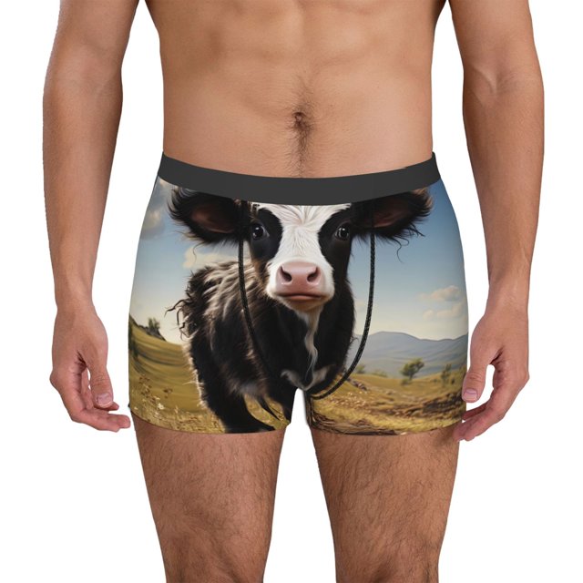 Fotbe Cute Prairie Cow Calzoncillos Tipo Boxer con Bolsa de Soporte Total para Hombre, X-Temp Fresco, Transpirable y de Secado Rápido-Small