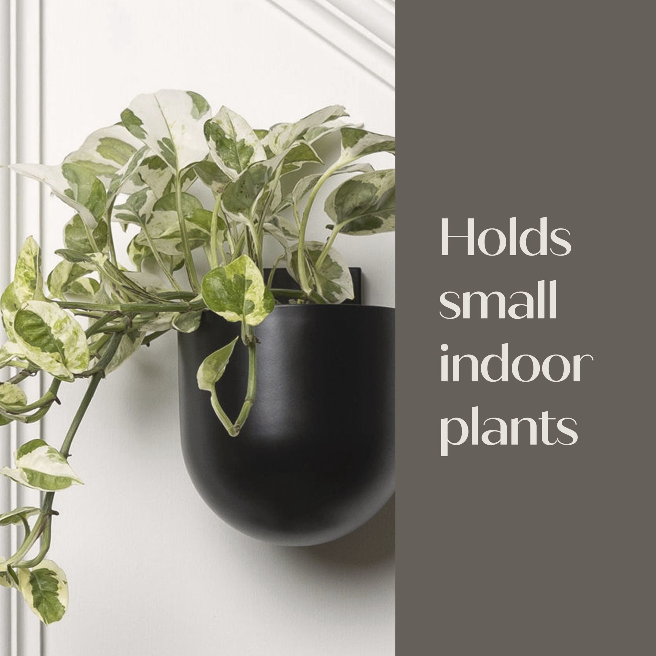 Command Decor Metal Wall Plant Hanger, Matte Black, 1 Planter, 1 Planter Insert, 6 Large Adhesive Strips