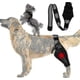thumbnail image 2 of Dog Elbow Brace, Dog Compression Knee Brace, Elbow And Shoulder Support, Dysplasia, Arthritis, Elbow Calluses, Pressure Sores, Shoulder Dislocation, 2 of 5