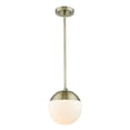 thumbnail image 2 of Golden Lighting Dixon 1-light Pendant in Matte Black and Clear Glass, 2 of 2