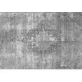 thumbnail image 1 of Ahgly Company Indoor Rectangle Persian Gray Traditional Area Rugs, 4' x 6', 1 of 1