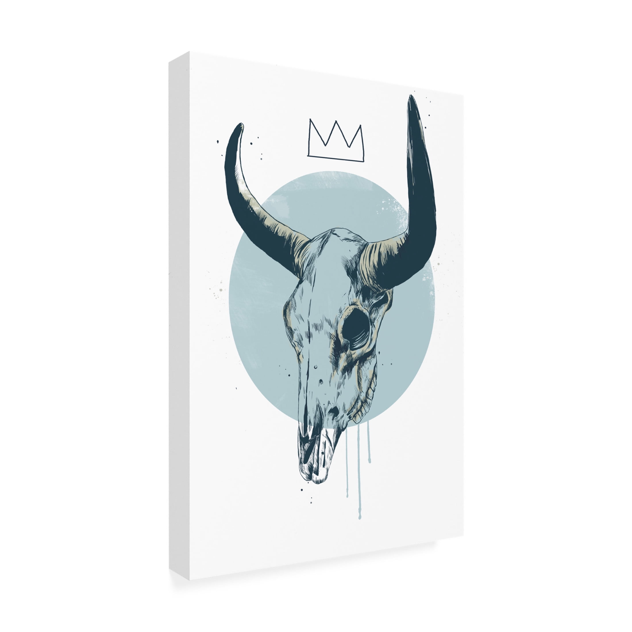 Trademark Fine Art Balazs Solti Bull skull Canvas Wall Art