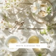 thumbnail image 2 of Cartucho de fragancia ScentAir Monthly para Whisper Home, 2 of 7