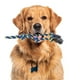 thumbnail image 4 of Cuerda de masticar en forma de nudos para perros Unique Bargains, cuerda de algodón trenzada duradera para limpiar los dientes de gatos y perros, rosa, azul y amarillo, 4 of 7