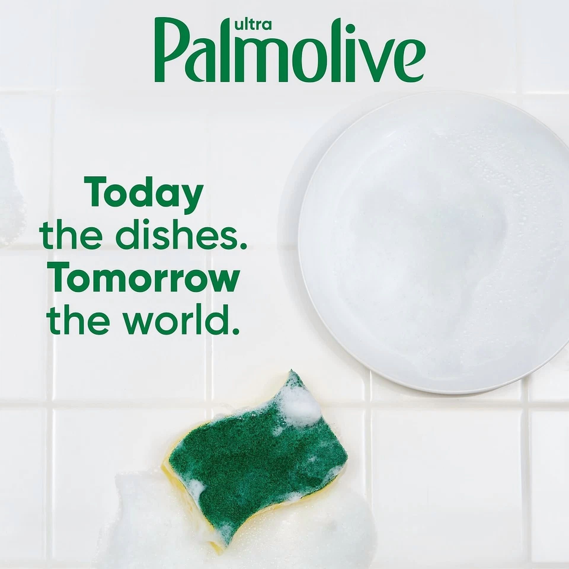 BUTTERFLY- Palmolive Ultra Strength Dishwashing Liquid Original Scent 32.5 Oz. 2521723