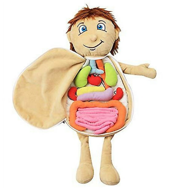 Juguete de anatomía YONGSHENG cuerpo humano peluche 50x34x7.5 cm
