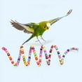 thumbnail image 3 of Visland Bird Cage Toy Colorful Beads Resting and Playing Leisure Toys Parrot Climbing Wood Swing Toy for Small Medium Parrots, 3 of 7