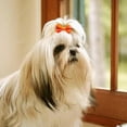 thumbnail image 2 of Pekkaxy Pet Hair Bows, 1.2-1.6 Inch, 100-Piece Assortment, Secure Grooming Accessories, Perfect for Long-Haired Cats and Dogs, 2 of 9