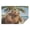 Bear on Tropical Beach, variant on Travel Blanket and Pillow, 65x55in Glow in Dark Camping Bed Throws with Storage Bag for Travel Office Sofa, Blackswan