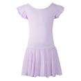 thumbnail image 2 of Daydance Toddler Girls Ballet Tutu Skirt Ruffle Sleeve Dance Dress Dancewear, 2 of 5