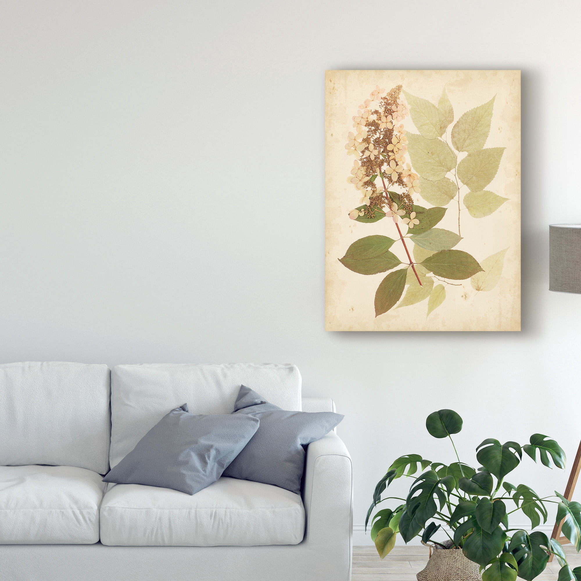 Trademark Fine Art 'Natures Collage III' Canvas Art by Vision Studio