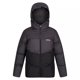 thumbnail image 1 of Regatta - Chaqueta Aislante Lofthouse VI para Niños/Niñas (Ceniza, Gris Oscuro), 1 of 4