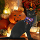 thumbnail image 5 of Ropa de Navidad para gatos, decoración para fiestas de Halloween y gatos, capa, sombrero, collar para perros, accesorios para vestir a perros y gatos Adepaton Ropa para Gato, 5 of 5