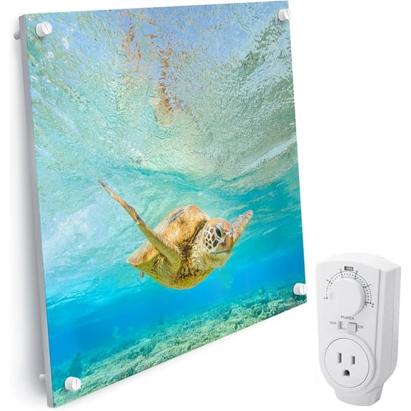 EconoHome Wall Mount Space Heater Panel - with Thermostat - 400 Watt Convection Heater - Ideal for 120 Sq Ft Room - 120V Electric Heater - Updated Model