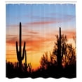 thumbnail image 3 of Ambesonne Western Shower Curtain, Desert Cactus Wild West, 69"Wx75"L, Orange and Black, 3 of 3