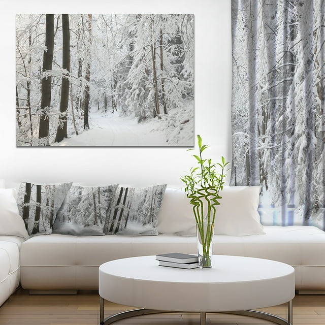 Dense Winter Forest and Lane - Large Forest Canvas Art Print