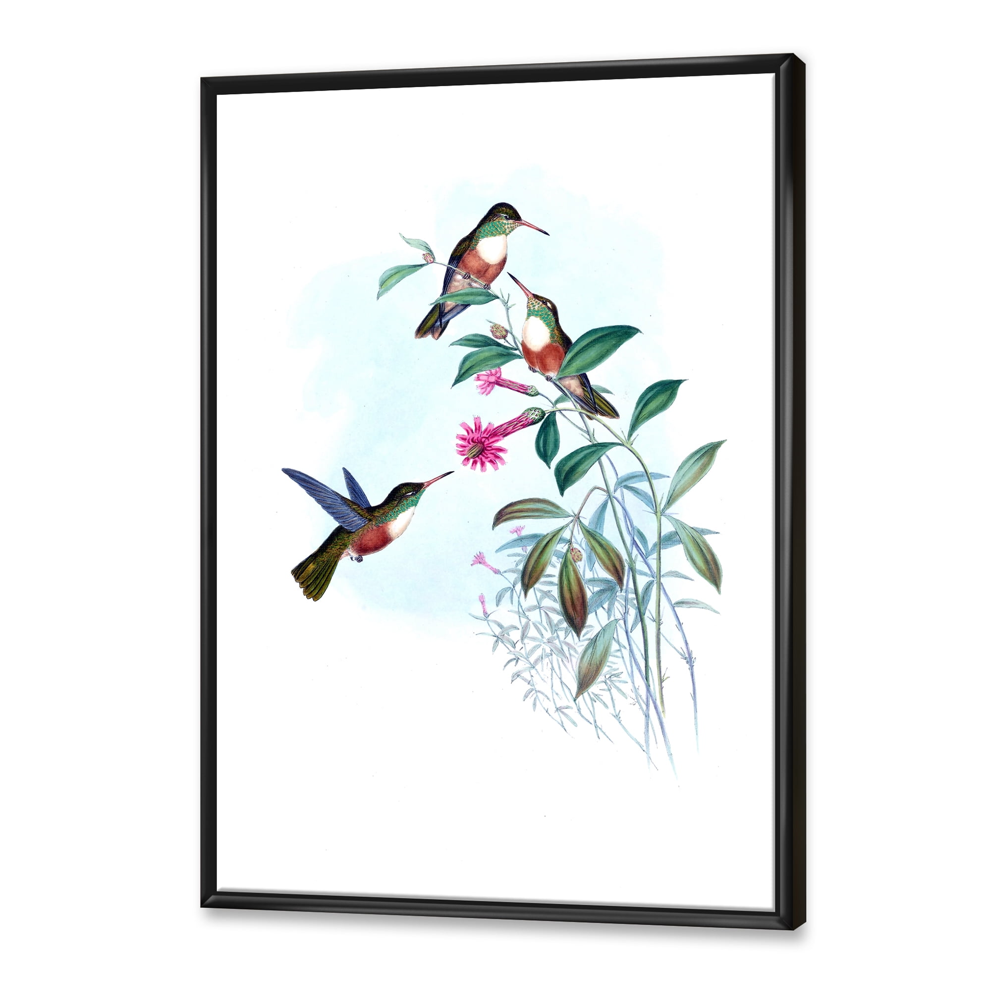 Designart 'Ancient Hummingbird IV' Traditional Framed Canvas Wall Art Print