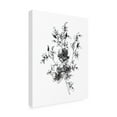 thumbnail image 2 of Trademark Fine Art 'Sketchbook Flowers on White II' Canvas Art by Wild Apple Portfolio, 2 of 3