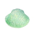 thumbnail image 2 of STPToys Transparent Glitter Filled Seashell Shaped Slow Rebound Squeeze Gadget,Green Soft Pressure Reducing Accessory Perfect For Birthday Gifts, Party Favors And General Reward Presents, 2 of 6
