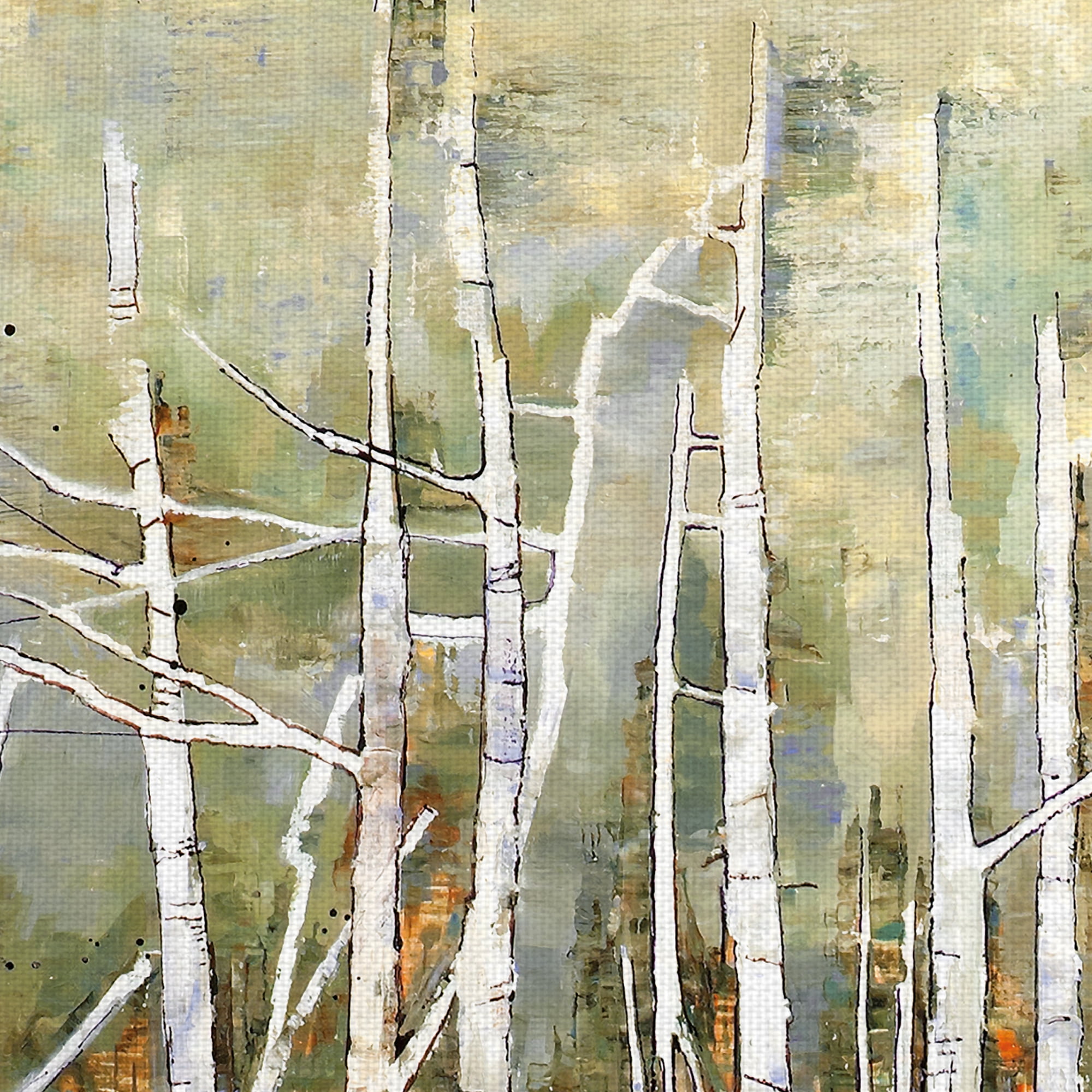 Masterpiece Art Gallery Necessary Change, Summer Birch By Danna Harvey Canvas Art Print 35" x 35"