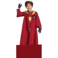 thumbnail image 1 of Harry Potter Deluxe Quidditch Robe Costume for Kids, 1 of 1