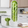 thumbnail image 2 of 2 Pack Herb Saver for Refrigerator, Fresh Herb Keeper, Herb Saver Pod Containers, Herb Fresh Keeper for Refrigerator,Herb Storage for Cilantro,Parsley, Asparagus,Keeps Vegetables Fresh for 2-3 Week, 2 of 6