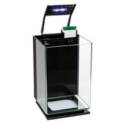 GloFish 5 Gallon Desktop Aquarium Kit with Filter and LED Light