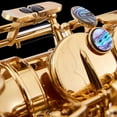 thumbnail image 2 of FLAMEEN Saxophone Abalone Shell, Multicolor Saxophone Key Button, For Alto Tenor Saxophones Soprano, 2 of 8