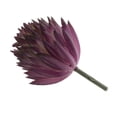 thumbnail image 4 of Artificial Echeveria Flower, 4 of 9