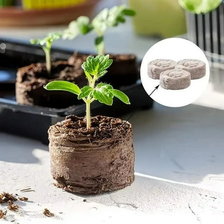 NEW Planting Soil Blocks Plug Nutrition Compressed Peat Coconut Seedling
