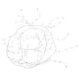 thumbnail image 6 of Beaded Garland Decor Large Jewel Ornaments Home Decoration Transparent, 6 of 8
