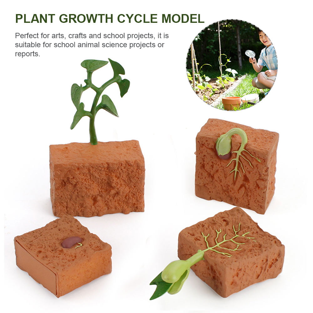 4 Pcs Simulation Plant Growth Life Cycle Model Kids Educational Toys Gifts Set 