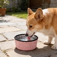 thumbnail image 4 of Portable Dog Bowls Foldable Travel Dish for Hiking Camping, No Spill Collapsible Puppy Water Bowl for Small and Large Dogs, Outdoor Pet Accessories, 4 of 5