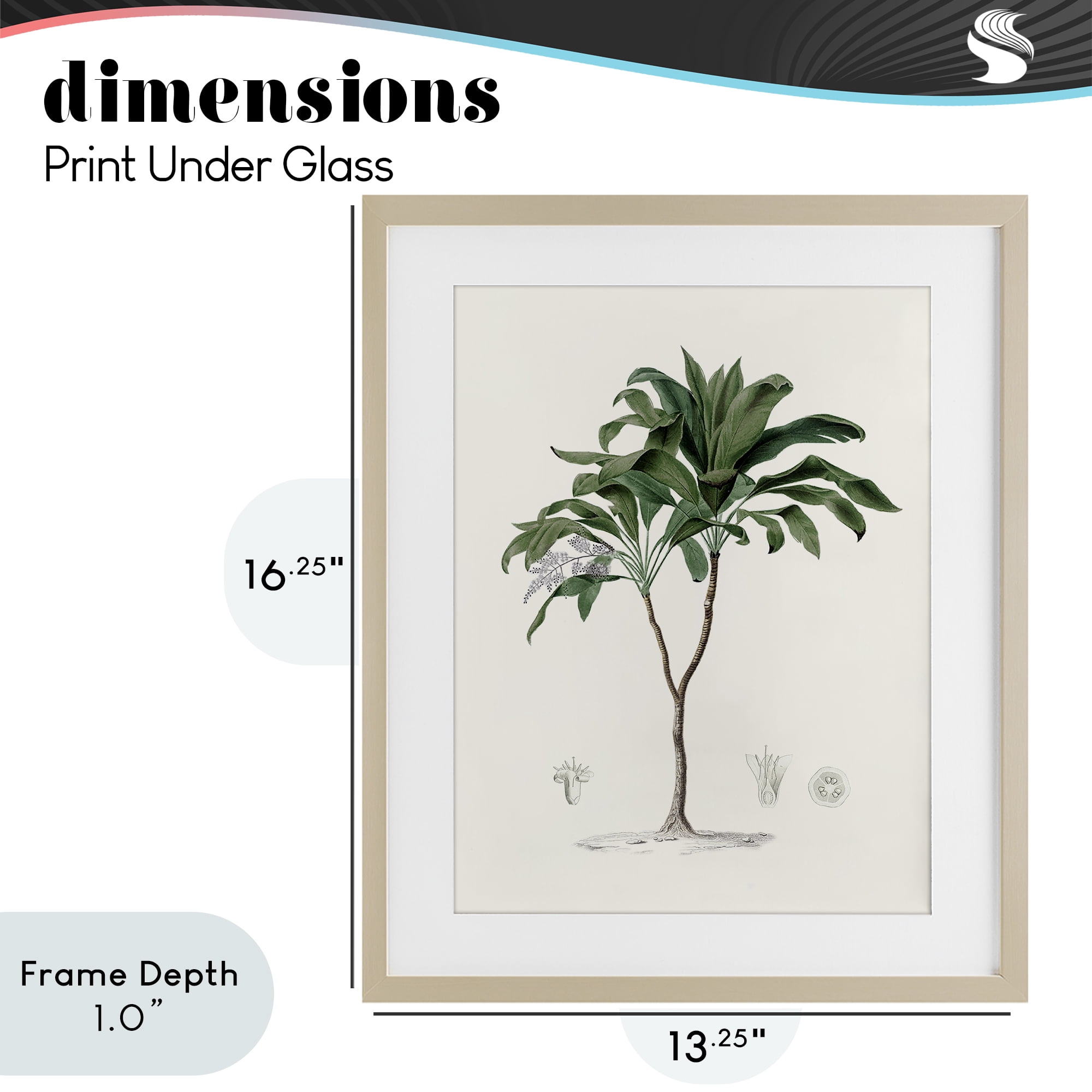 Stupell Industries Coastal Palms Vintage Birch Framed Print Under Glass, design by Val Rhodes