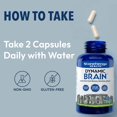 thumbnail image 3 of Suplemento Stonehenge Health Dynamic Brain con BacoMind 60 cápsulas, 3 of 8