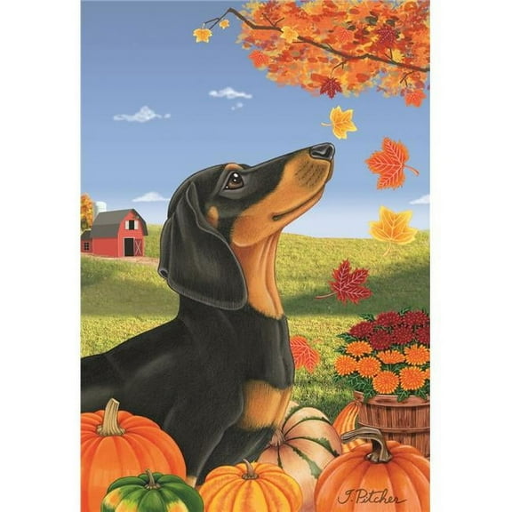 Best of Breed TP670081 Dachshund Black & Tan Autumn Leaves Garden Flag