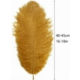 thumbnail image 2 of NANAHuang 10pcs Large Black Ostrich Feathers 16-18 inch Fluffy Feather for Crafts Home Party Decoration Wedding Centerpieces Clothes Vase Decor, 2 of 8