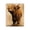 Mini Highland Cow, variant on Stupell Industries Farmhouse Mini Highland Cow on Neutrals Canvas Art, 16 x 20, by Renel Peters
