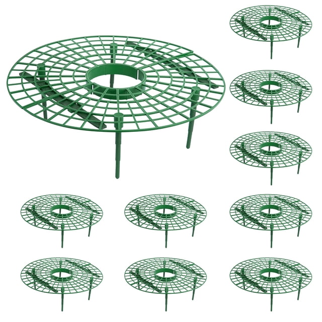 Soporte para plantas de fresa Iceyyyy, paquete de 10, tamaño grande
