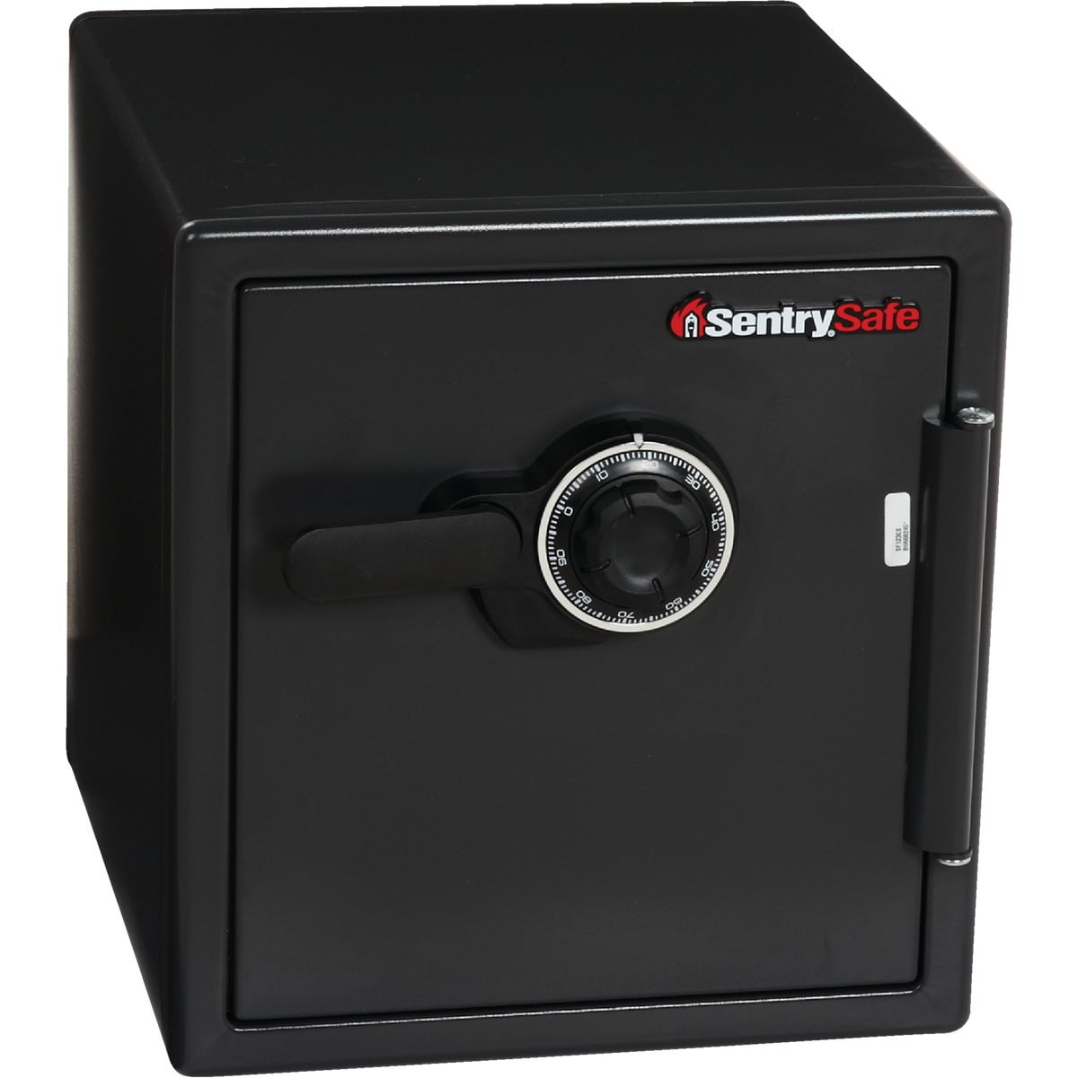 Sentry Safe 1.23 Cu. Ft. Capacity Combination Fire-Safe Floor Safe 