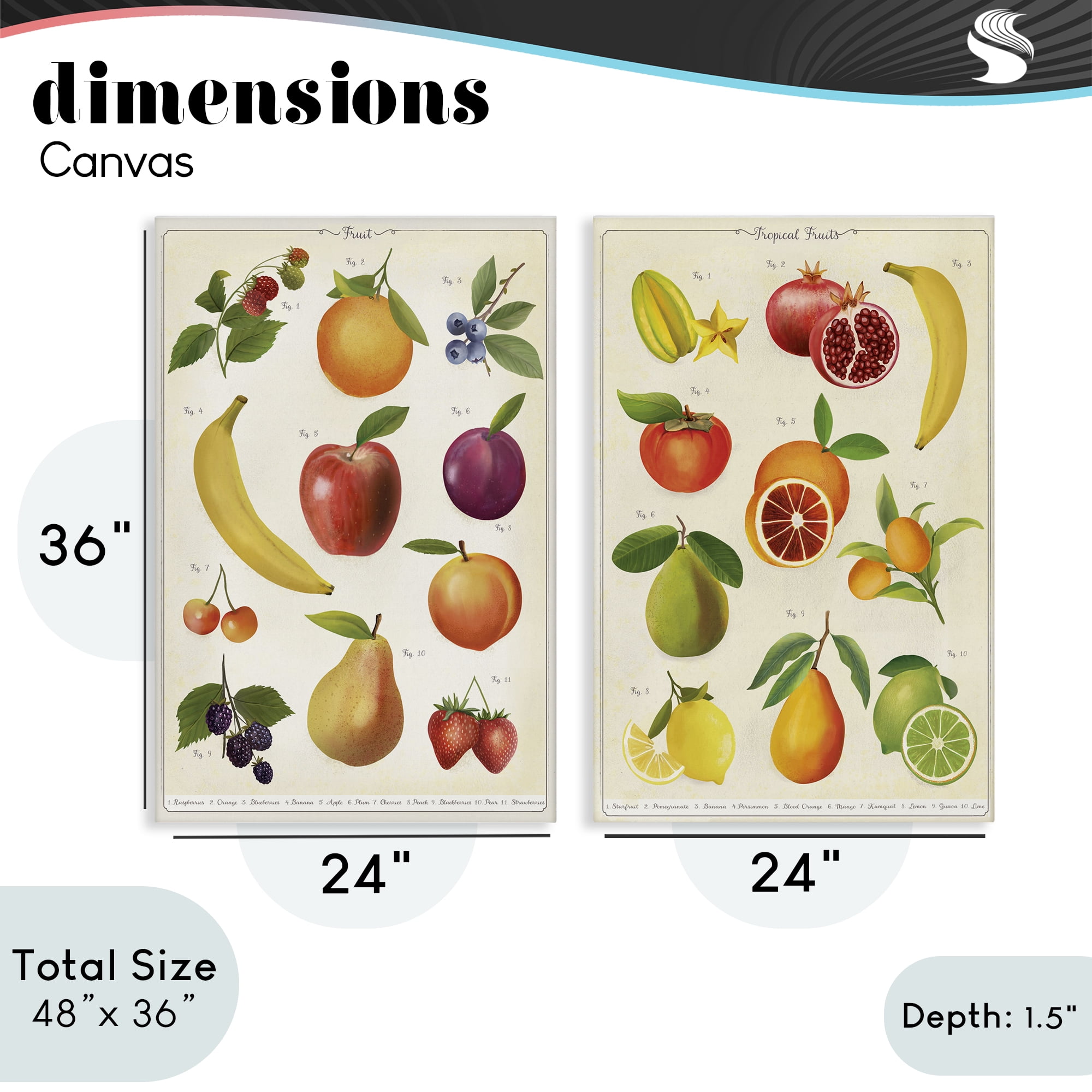 Stupell Industries Kitchen Studies Fruit 2 Piece Canvas Wall Art Set, design by Diane Neukirch