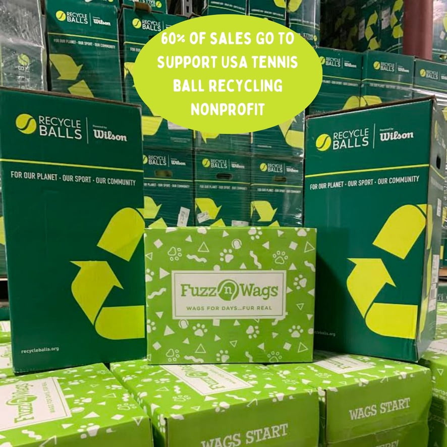 100 Tennis Balls Finished with the Courts, Now Ready for Your Dog’s Playtime: Support USA Tennis Ball Recycling NonProfit: Bulk 100 Tennis Balls for Dogs, Tennis Balls for Dogs Bulk,