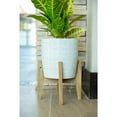 thumbnail image 4 of Set of 2 10" & 8" Cathedral Ceramic Planter, 4 of 5
