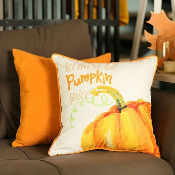 Fall Thanksgiving Decorative Throw Pillow Pumpkin & Solid for Set of 2