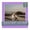 Pansy Purple, variant on Purple Iris Picture Frame Mat for 32x32 Frames - Fits 26x26 Photos - 10 Mats