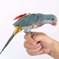thumbnail image 6 of Joernso Bird Diaper Printing Dress-up Vintage Parrot Bird Nappy Clothes for Festival, 6 of 8