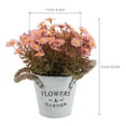 thumbnail image 2 of NUOLUX Planta Artificial De Margarita En Maceta Rosa Para De, 2 of 6