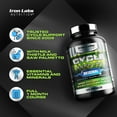 Iron Labs Nutrition Cycle Support Original On Cycle Support