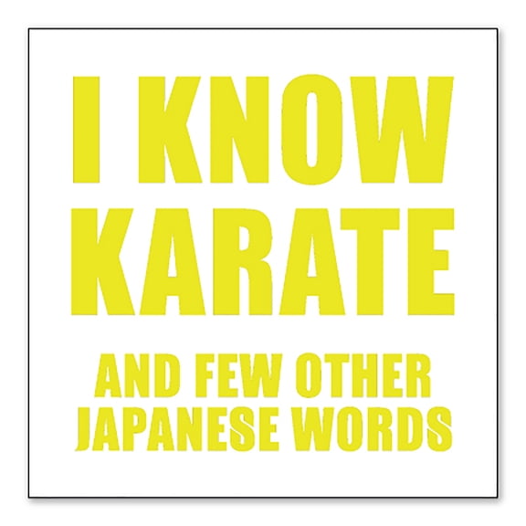 DistinctInk Custom Bumper Sticker - 3" x 3" Decorative Decal - White Background - I Know Karate And Few Other Japanese Words